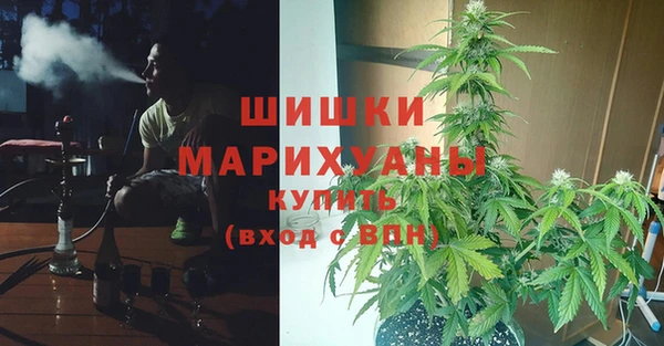 винт Богданович